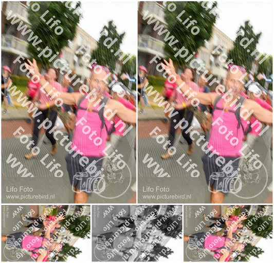 Evenement foto: Nijmeegse Vierdaagse 1019