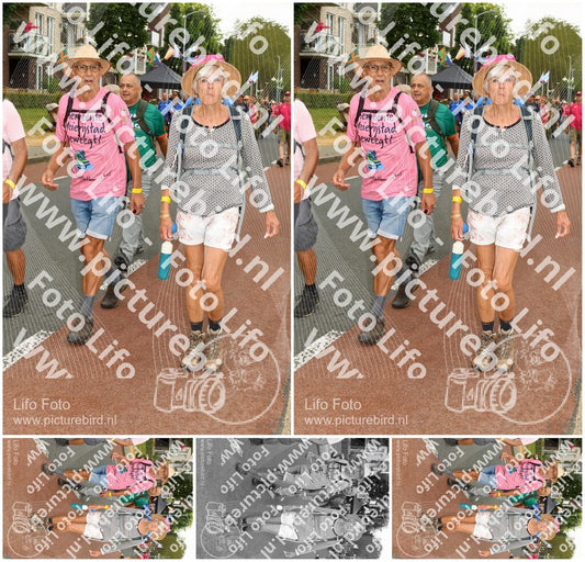 Evenement foto: Nijmeegse Vierdaagse 1019