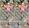 Evenement foto: Nijmeegse Vierdaagse 1019