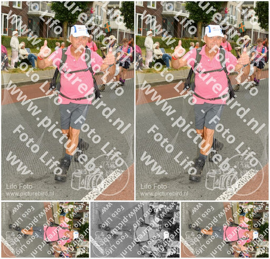 Evenement foto: Nijmeegse Vierdaagse 1019