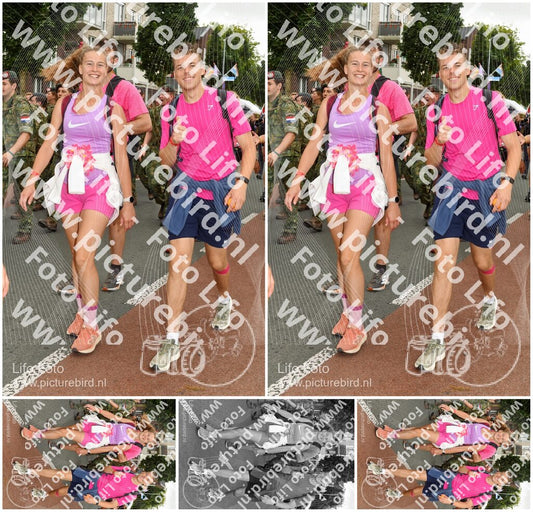 Evenement foto: Nijmeegse Vierdaagse 1019