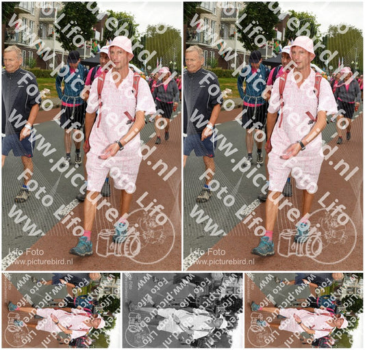 Evenement foto: Nijmeegse Vierdaagse 1019