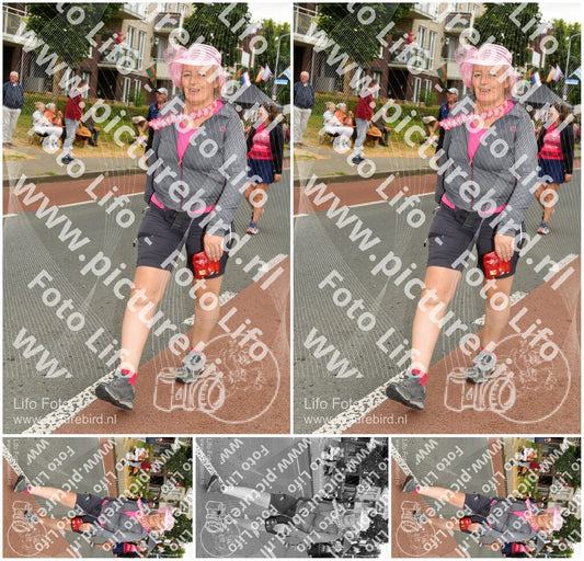 Evenement foto: Nijmeegse Vierdaagse 1019