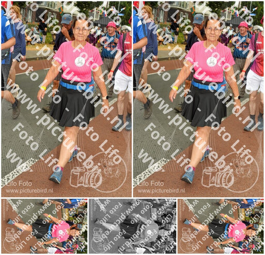 Evenement foto: Nijmeegse Vierdaagse 1019