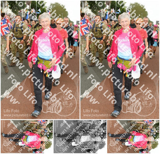 Evenement foto: Nijmeegse Vierdaagse 1019