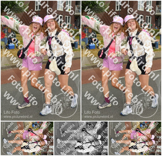 Evenement foto: Nijmeegse Vierdaagse 1019