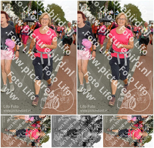Evenement foto: Nijmeegse Vierdaagse 1019