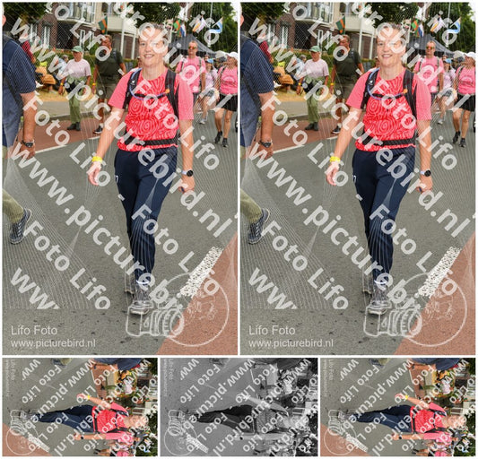 Evenement foto: Nijmeegse Vierdaagse 1019