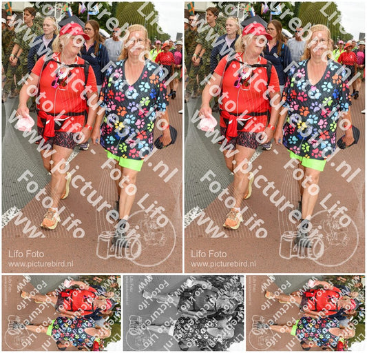 Evenement foto: Nijmeegse Vierdaagse 1019