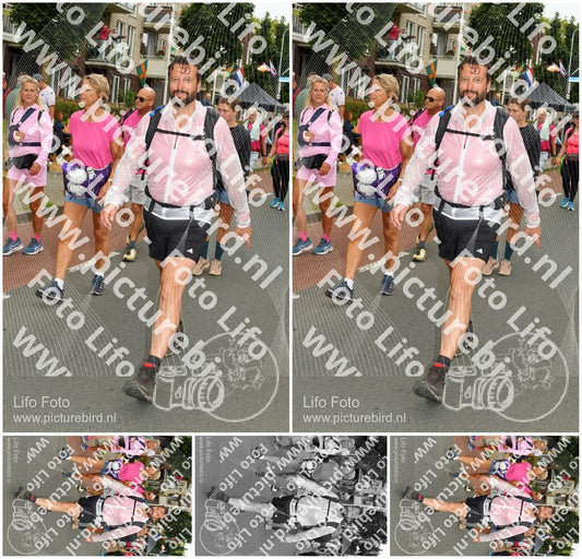 Evenement foto: Nijmeegse Vierdaagse 1019