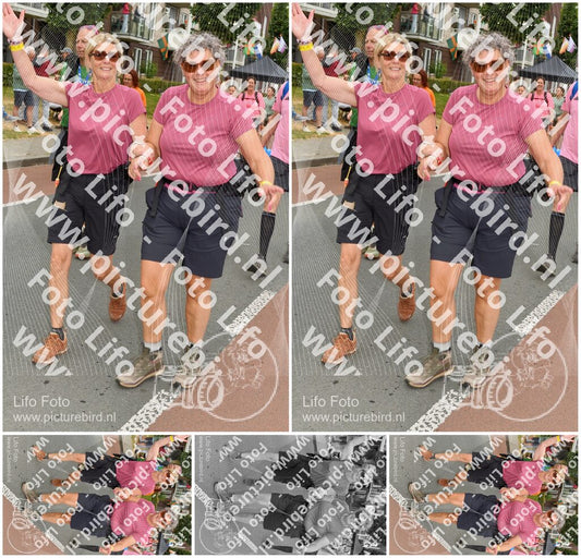 Evenement foto: Nijmeegse Vierdaagse 1019