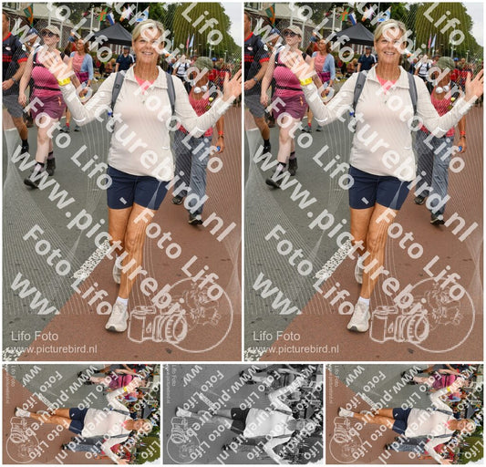 Evenement foto: Nijmeegse Vierdaagse 1019