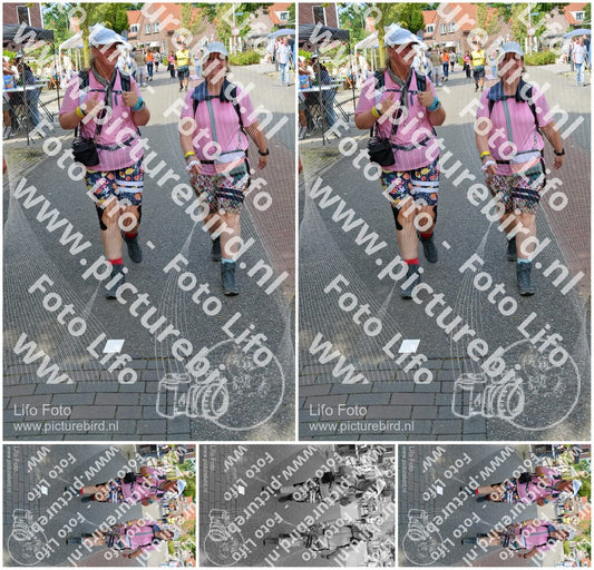 Evenement foto: Nijmeegse Vierdaagse 943