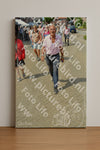 Evenement foto: Nijmeegse Vierdaagse 943