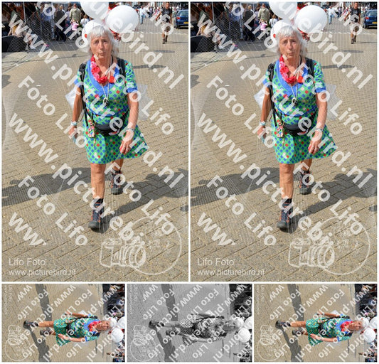 Evenement foto: Nijmeegse Vierdaagse 943