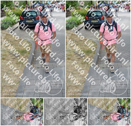Evenement foto: Nijmeegse Vierdaagse 943