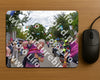 Evenement foto: Nijmeegse Vierdaagse 943