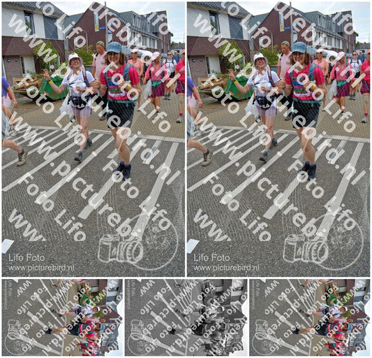 Evenement foto: Nijmeegse Vierdaagse 942