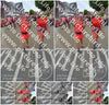 Evenement foto: Nijmeegse Vierdaagse 942