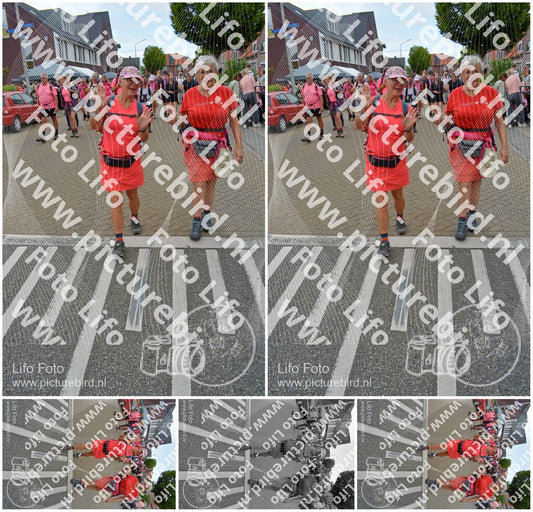 Evenement foto: Nijmeegse Vierdaagse 942