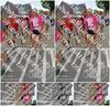 Evenement foto: Nijmeegse Vierdaagse 942