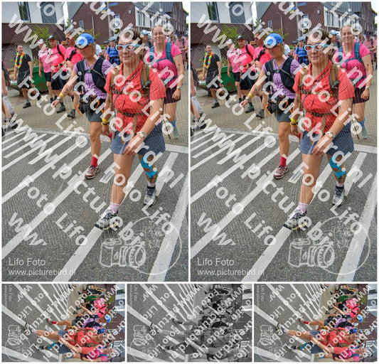 Evenement foto: Nijmeegse Vierdaagse 942