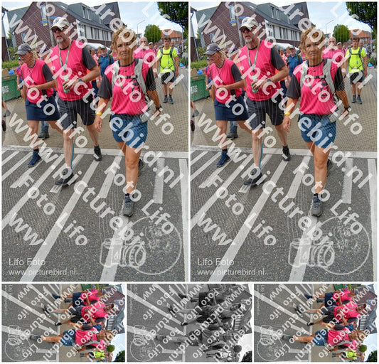 Evenement foto: Nijmeegse Vierdaagse 942