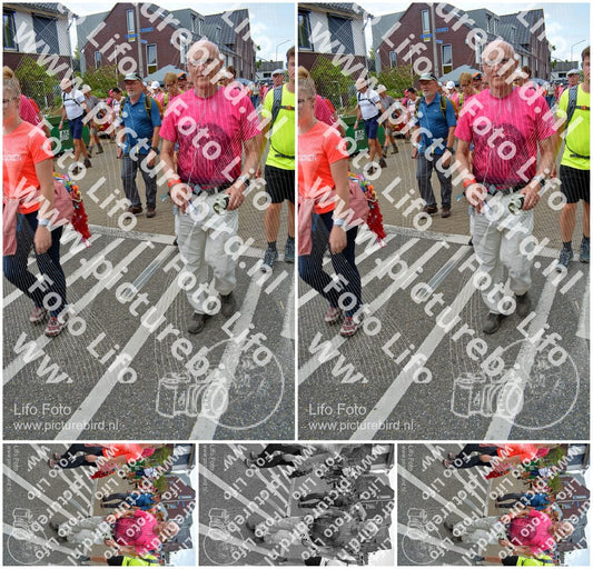 Evenement foto: Nijmeegse Vierdaagse 942