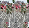 Evenement foto: Nijmeegse Vierdaagse 942