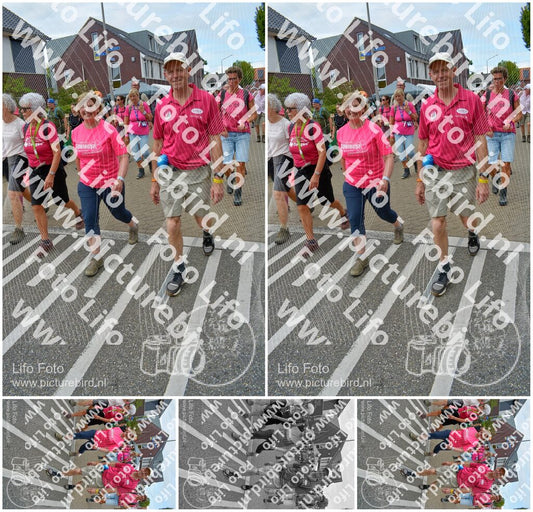 Evenement foto: Nijmeegse Vierdaagse 942