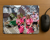 Evenement foto: Nijmeegse Vierdaagse 942