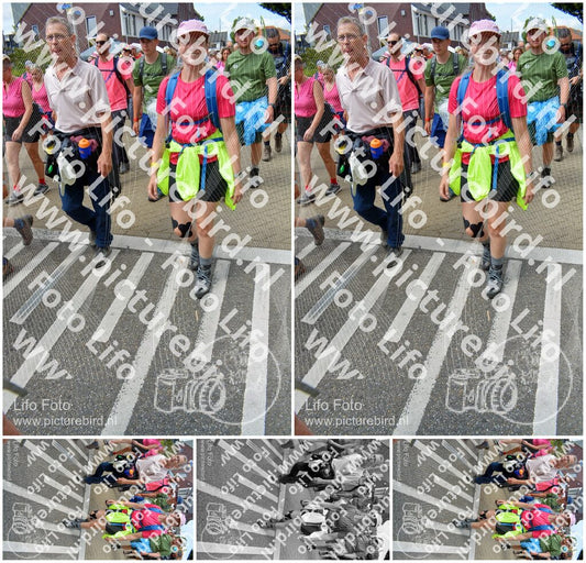 Evenement foto: Nijmeegse Vierdaagse 942