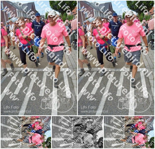 Evenement foto: Nijmeegse Vierdaagse 942