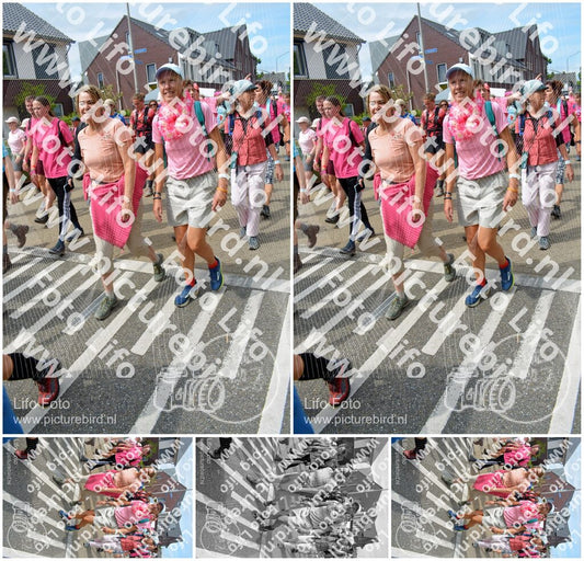 Evenement foto: Nijmeegse Vierdaagse 942