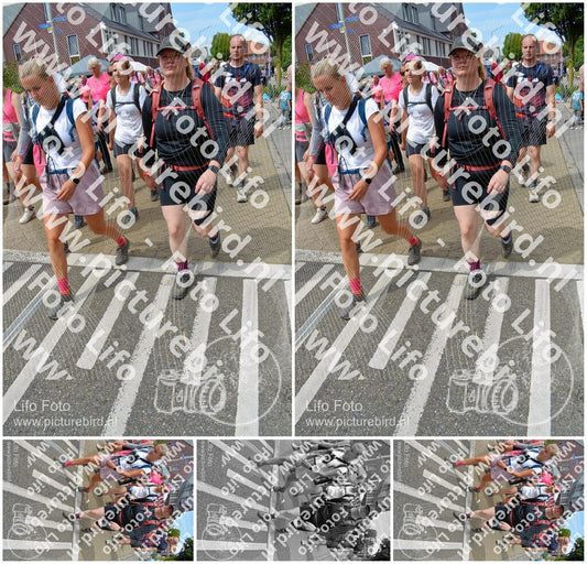Evenement foto: Nijmeegse Vierdaagse 942