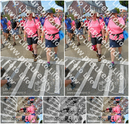 Evenement foto: Nijmeegse Vierdaagse 942