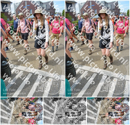 Evenement foto: Nijmeegse Vierdaagse 942