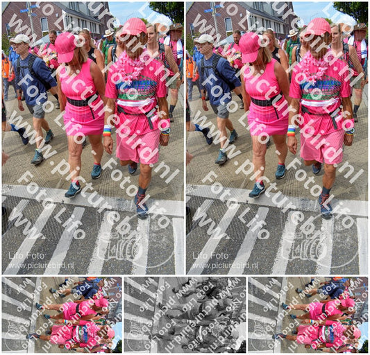 Evenement foto: Nijmeegse Vierdaagse 942