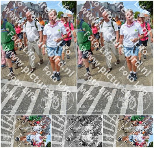 Evenement foto: Nijmeegse Vierdaagse 942