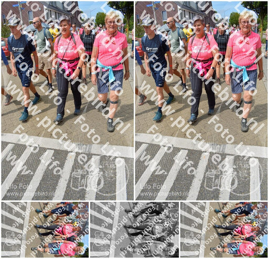 Evenement foto: Nijmeegse Vierdaagse 942
