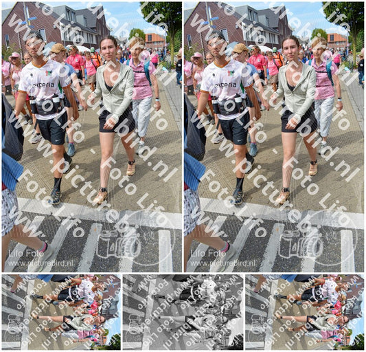 Evenement foto: Nijmeegse Vierdaagse 942