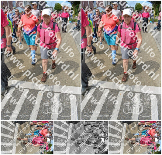 Evenement foto: Nijmeegse Vierdaagse 942
