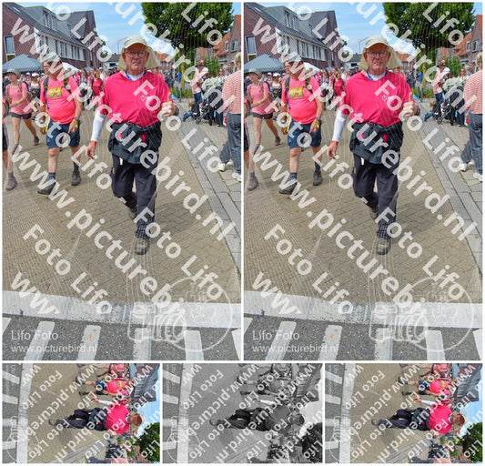Evenement foto: Nijmeegse Vierdaagse 942