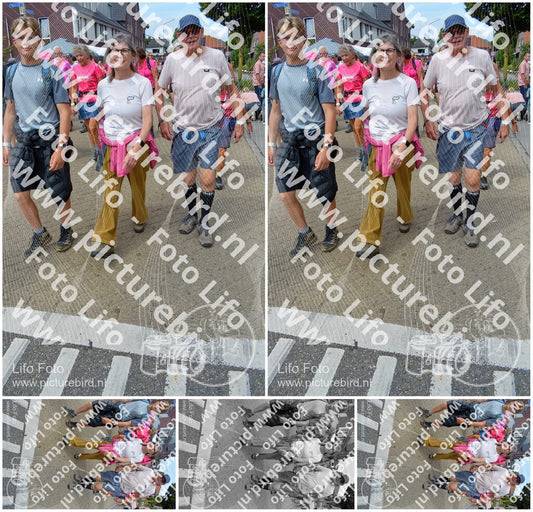 Evenement foto: Nijmeegse Vierdaagse 942