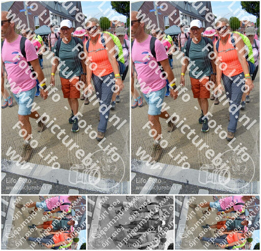 Evenement foto: Nijmeegse Vierdaagse 942