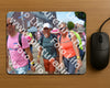 Evenement foto: Nijmeegse Vierdaagse 942