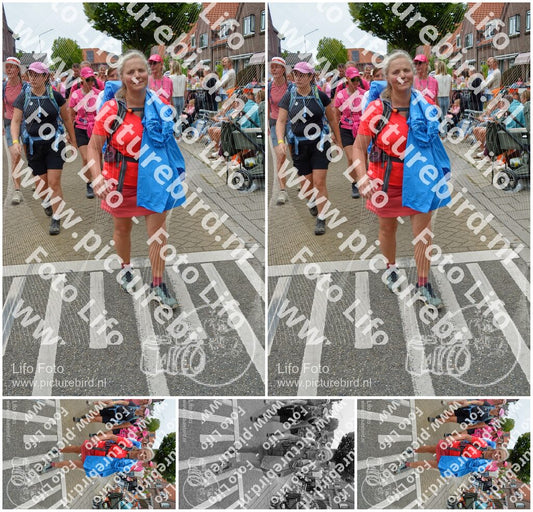 Evenement foto: Nijmeegse Vierdaagse 941