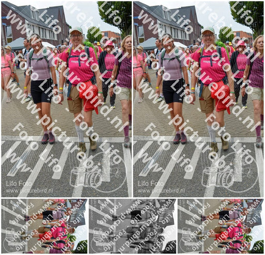 Evenement foto: Nijmeegse Vierdaagse 941