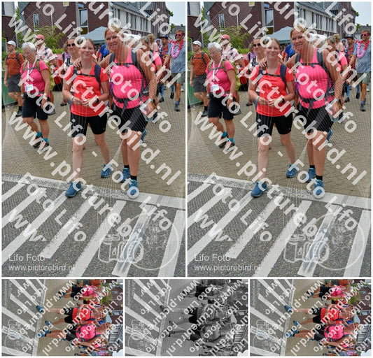 Evenement foto: Nijmeegse Vierdaagse 941