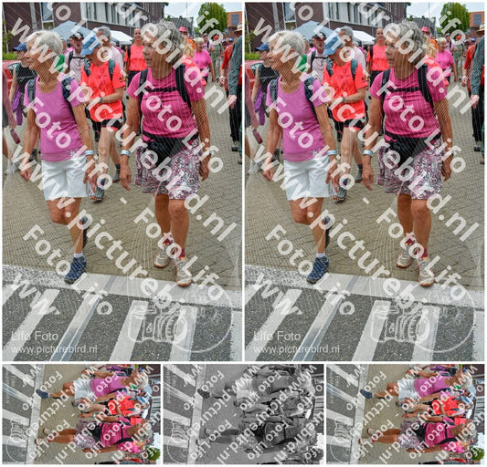 Evenement foto: Nijmeegse Vierdaagse 941